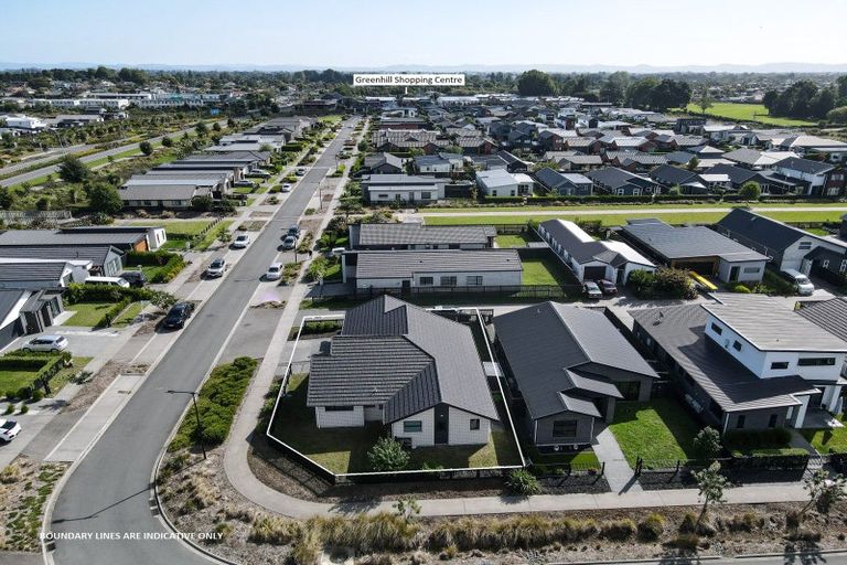 Photo of property in 12 Lulu Avenue, Chartwell, Hamilton, 3210