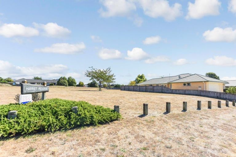 Photo of property in 14 Harriet Court, Richmond, 7020