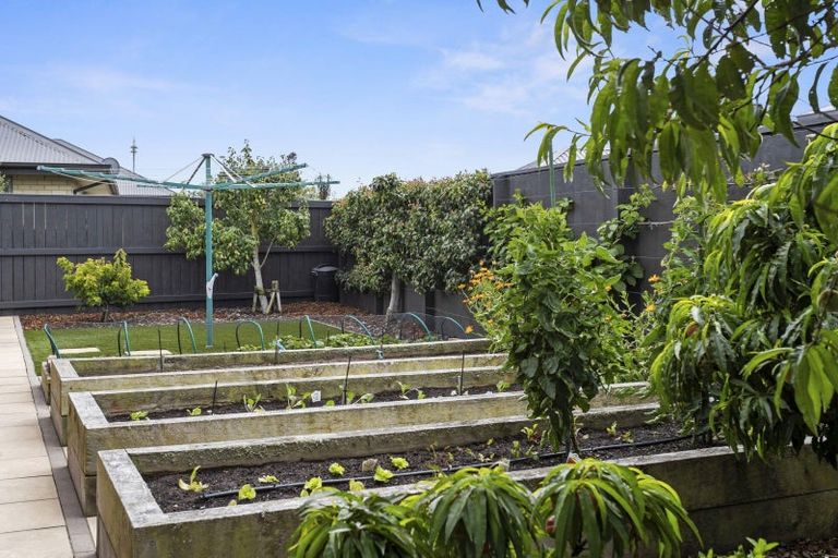 Photo of property in 23 Rapley Street, Kaiapoi, 7630