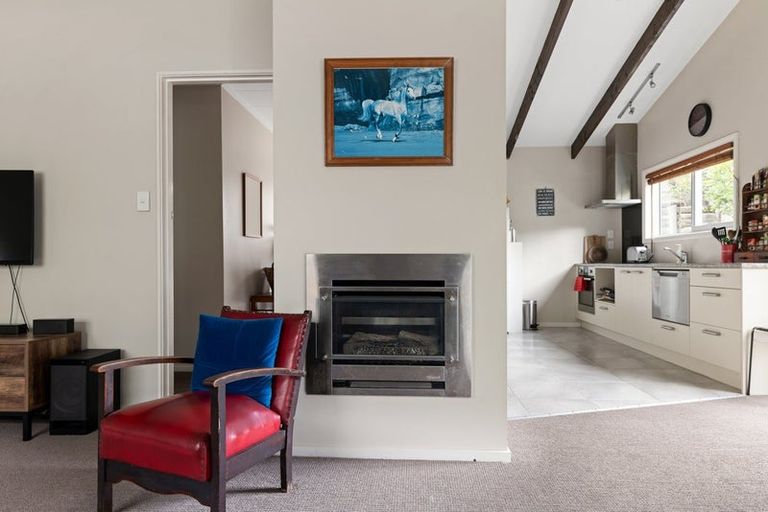 Photo of property in 206 Brook Street, The Brook, Nelson, 7010