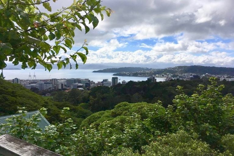 Photo of property in 60 Orangi Kaupapa Road, Northland, Wellington, 6012