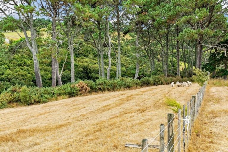 Photo of property in 58 Sheffield Road, Helensville, 0875