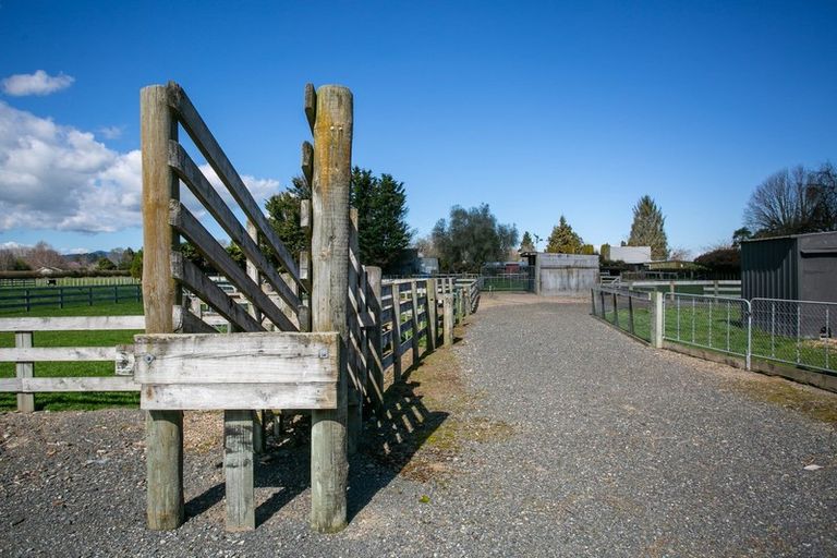 Photo of property in 30 Peake Road, Cambridge, Hamilton, 3283