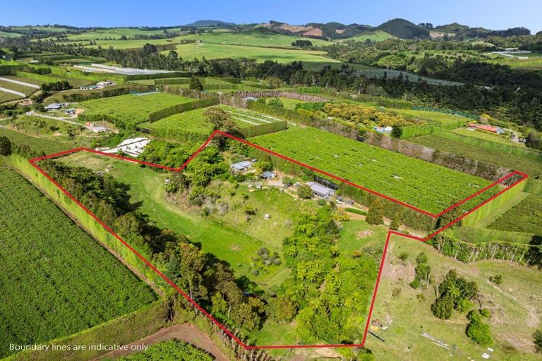 Photo of property in 575 No 2 Road, Te Puke, 3182