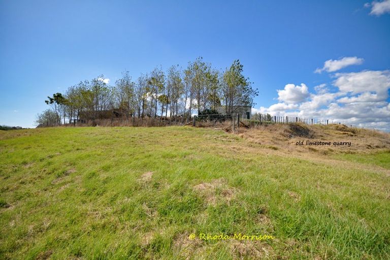 Photo of property in 196 Metcalfe Road, Matakohe, 0593