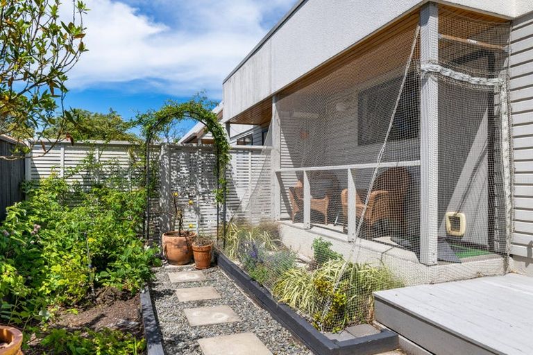 Photo of property in 223a Redwood Street, Witherlea, Blenheim, 7201