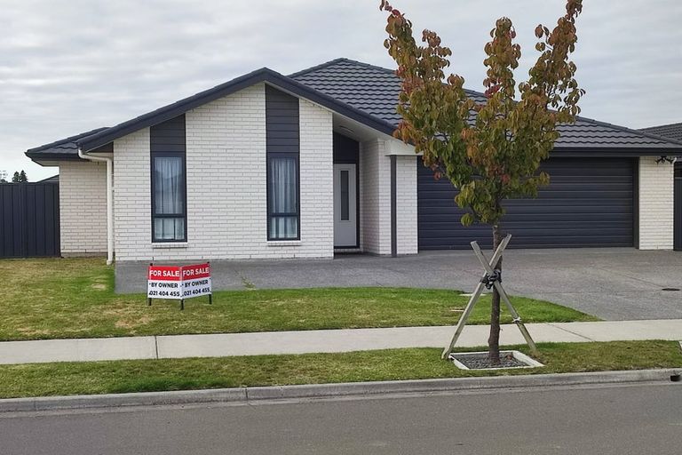 Photo of property in 13 Lochhead Street, Mahora, Hastings, 4120