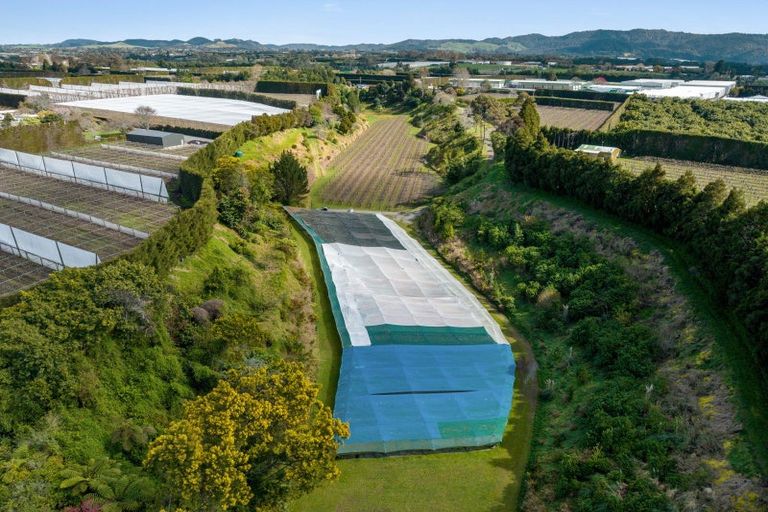 Photo of property in 325 Te Matai Road, Te Puke, 3188