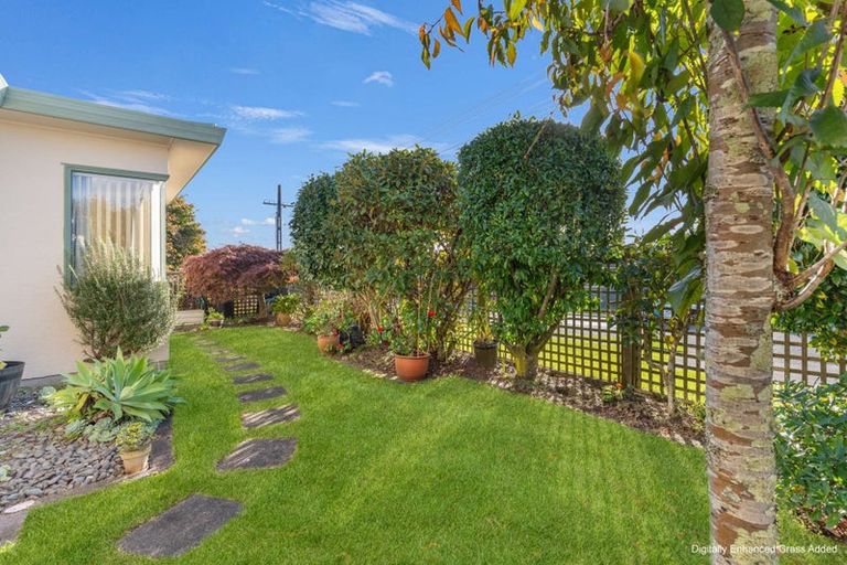 Photo of property in 16a Wickham Place, Hairini, Tauranga, 3112