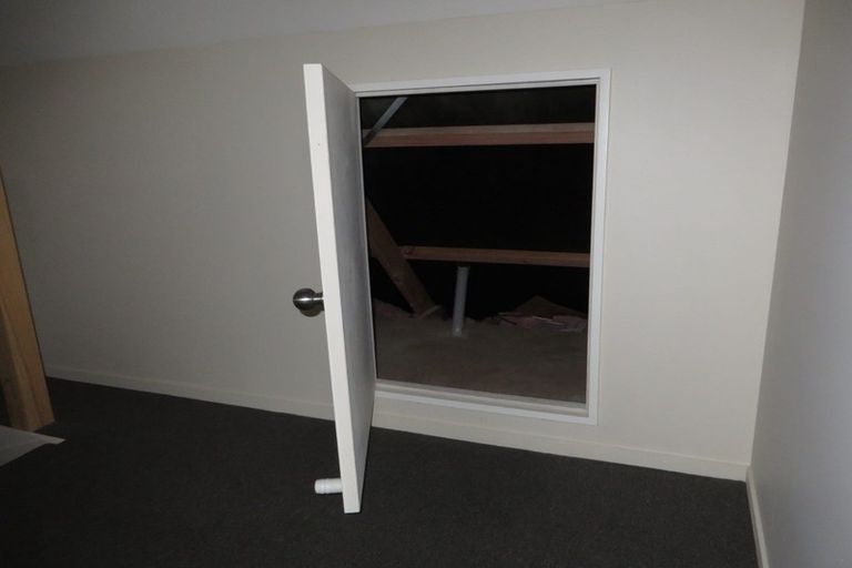 Photo of property in 30f Hogan Street, Hamilton East, Hamilton, 3216