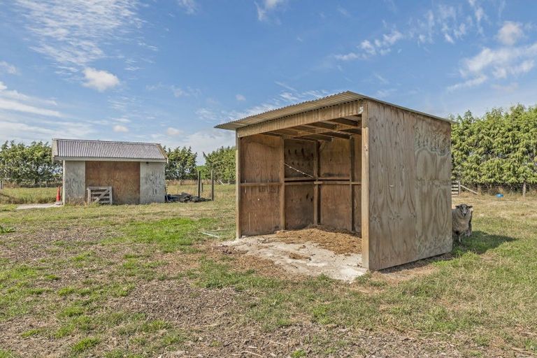 Photo of property in 75 Cowans Road, Leeston, 7683