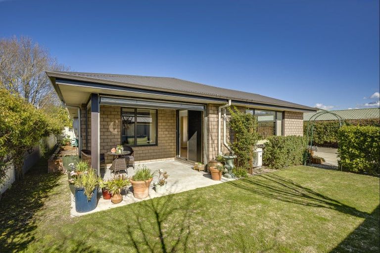 Photo of property in 307b Windsor Avenue, Parkvale, Hastings, 4122