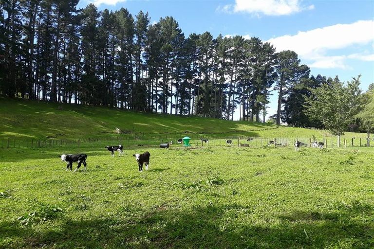 Photo of property in 131d Hogg Road, Rotoma, Whakatane, 3192