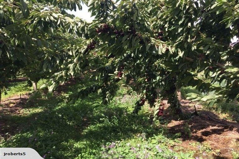 Photo of property in 66 Gladsmuir Road, Queensberry, Cromwell, 9383