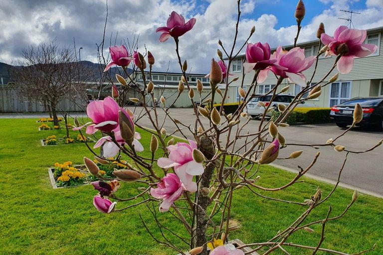 Photo of property in 19 Fire Station Lane, Trentham, Upper Hutt, 5018