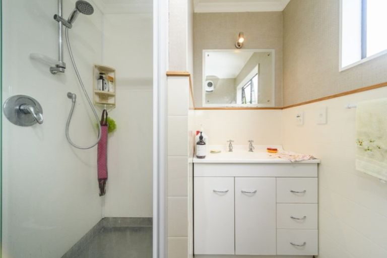 Photo of property in 109b Vogel Street, Roslyn, Palmerston North, 4414