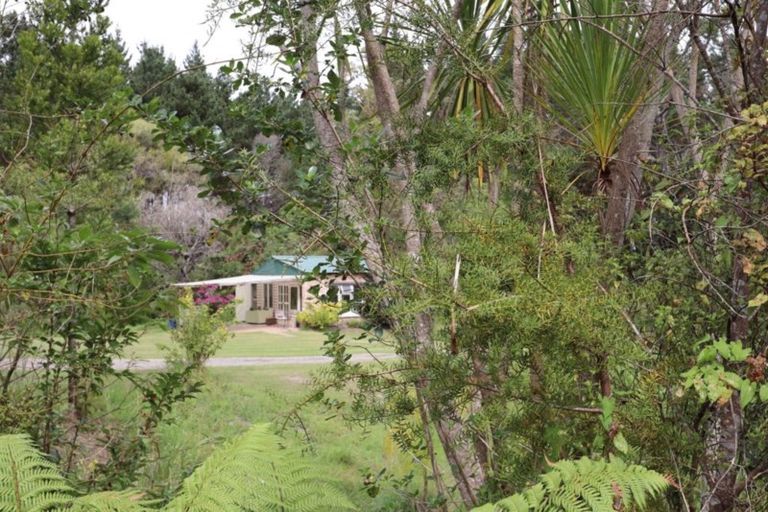 Photo of property in 146 Hokianga Road, Dargaville, 0310