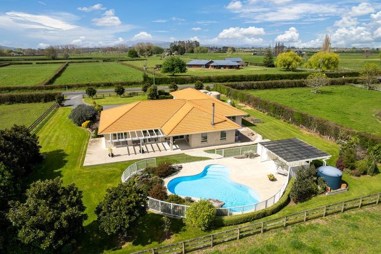 Photo of property in 13 Hogan Road, Cambridge, 3493