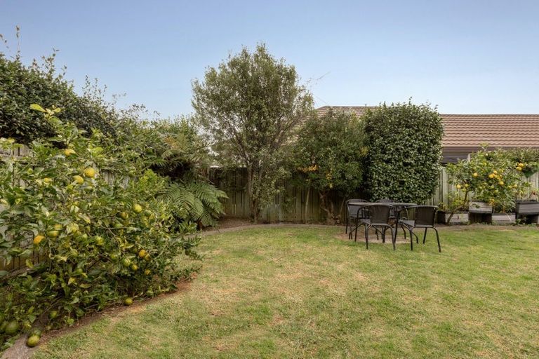 Photo of property in 171e Maungatapu Road, Maungatapu, Tauranga, 3112