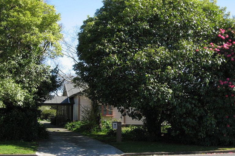 Photo of property in 62 Skerman Street, Marton, 4710