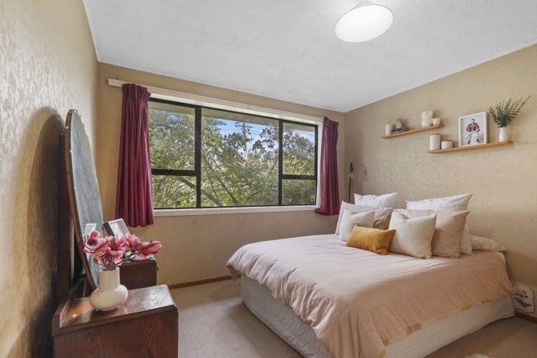 Photo of property in 11 Thomson Avenue, Dinsdale, Hamilton, 3204