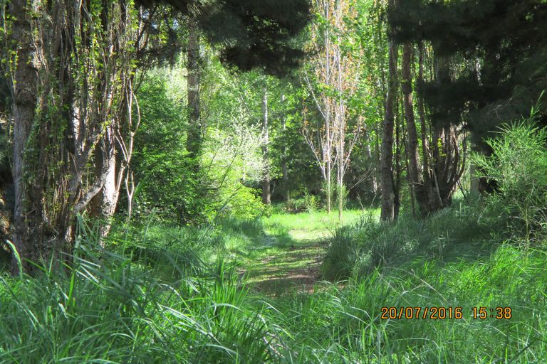 Photo of property in 309 Flatman Road, Orari Bridge, Geraldine, 7991