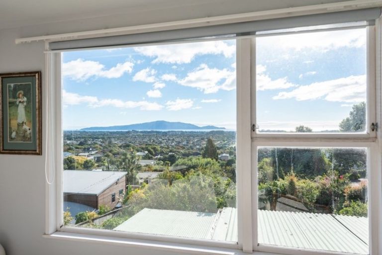 Photo of property in 43 Kotare Street, Waikanae, 5036