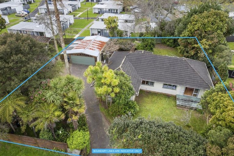 Photo of property in 17 Kervil Avenue, Te Atatu Peninsula, Auckland, 0610