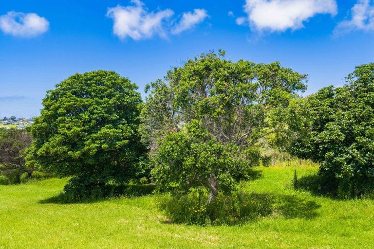 Photo of property in 249 Barrier View Road, Mangawhai, 0573