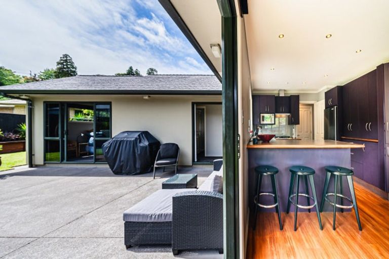 Photo of property in 41 Roto Street, Hurdon, New Plymouth, 4310