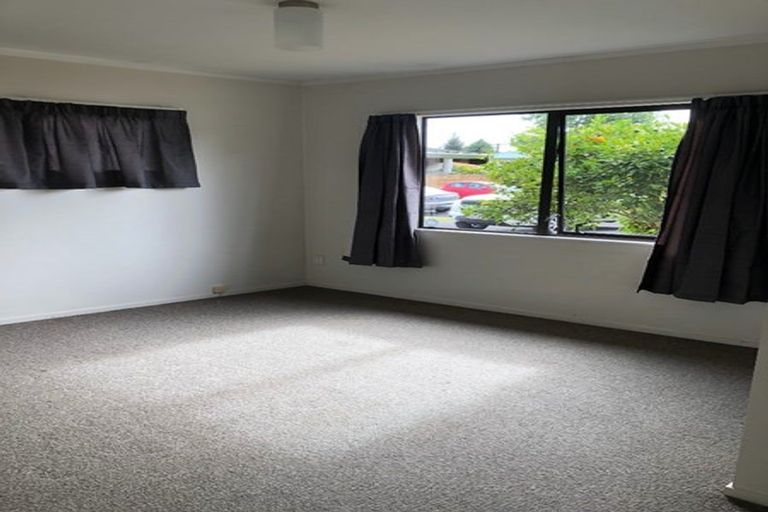 Photo of property in 137a Nixon Street, Hamilton East, Hamilton, 3216