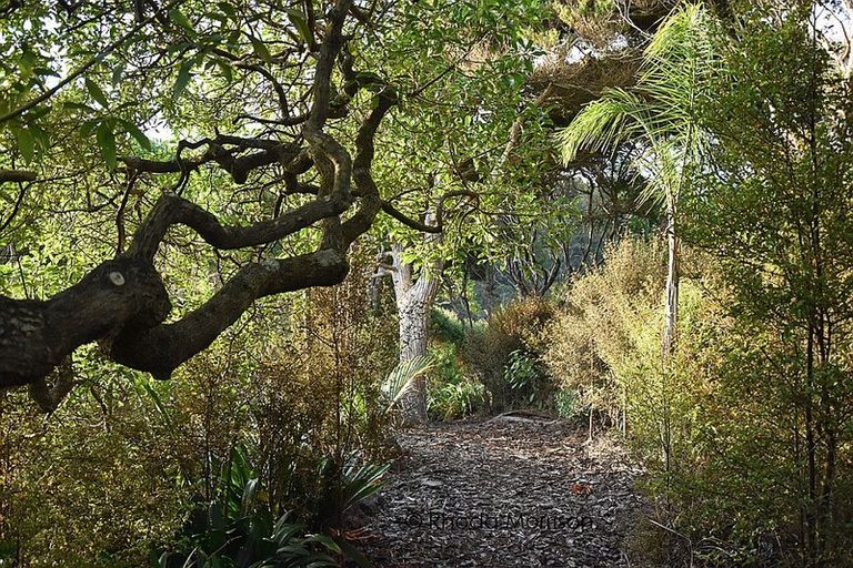 Photo of property in 23 Te Wairoa Lane, Tinopai, 0593