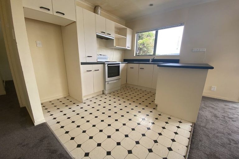 Photo of property in 153u1 Owen Street, Newtown, Wellington, 6021