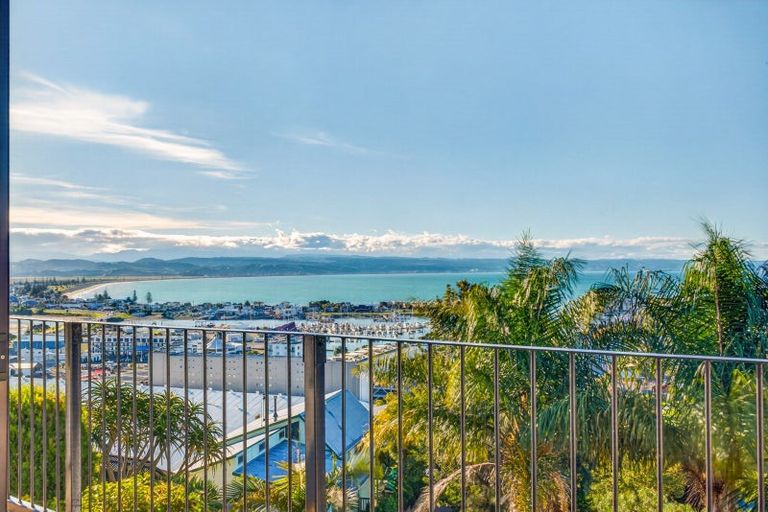 Photo of property in 40 Hospital Terrace, Hospital Hill, Napier, 4110