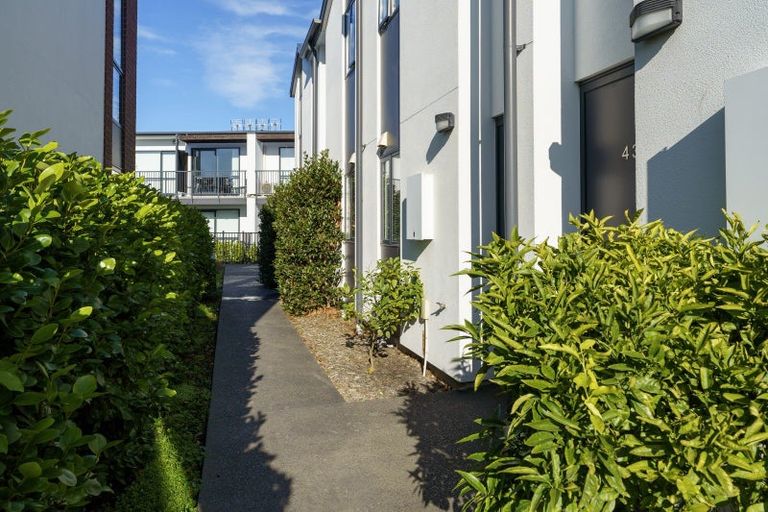 Photo of property in 41/10 Buffon Street, Waltham, Christchurch, 8023