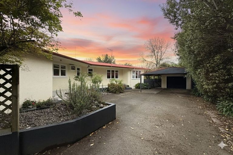 Photo of property in 45 Alfred Street, Roslyn, Palmerston North, 4414