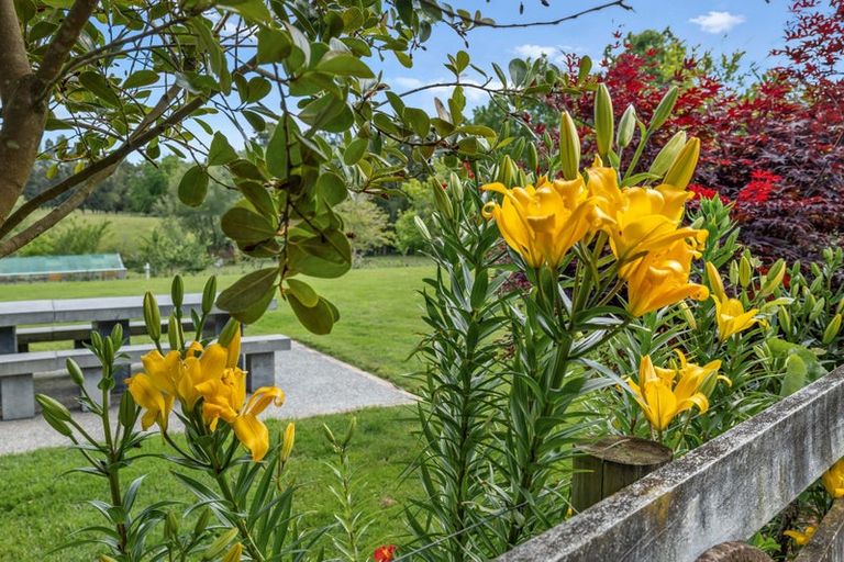 Photo of property in 241a Ararimu Valley Road, Helensville, Waimauku, 0882