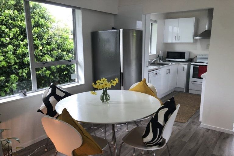 Photo of property in 66 Brunswick Street, Hutt Central, Lower Hutt, 5010