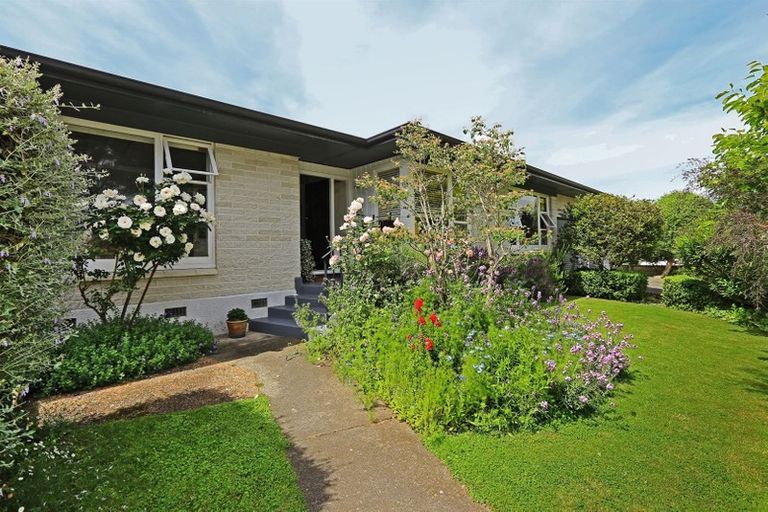 Photo of property in 15 Rakau Street, Havelock North, 4130