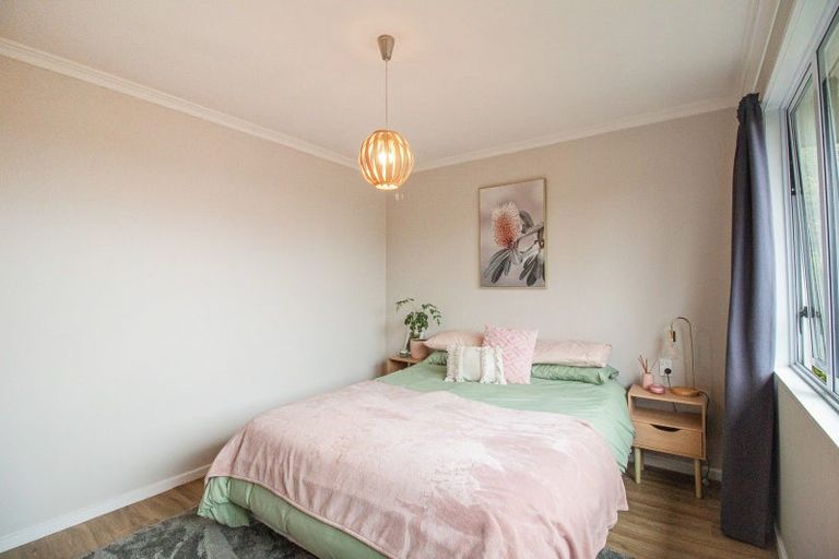 Photo of property in 101 Mulgrave Street, Ashhurst, 4810