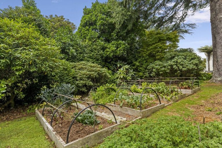 Photo of property in 10 Olivia Street, Stratford, 4332