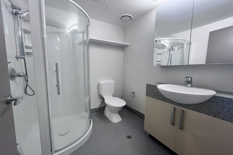 Photo of property in Dual Apartments, 401/142u Vivian Street, Te Aro, Wellington, 6011