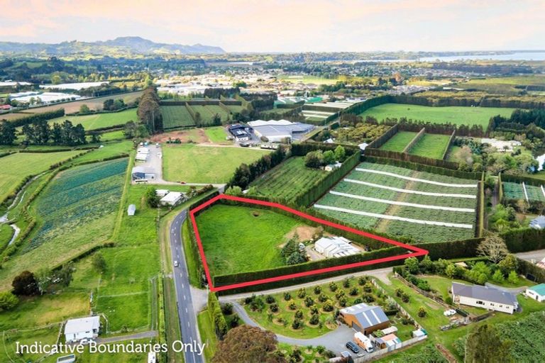 Photo of property in 50 Tetley Road, Tahawai, Katikati, 3178