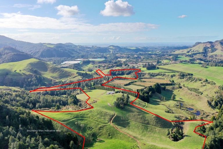 Photo of property in 1394 No 3 Road, Te Puke, 3183