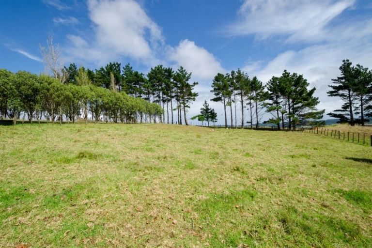 Photo of property in 355 Kiwitahi Road, Helensville, 0875