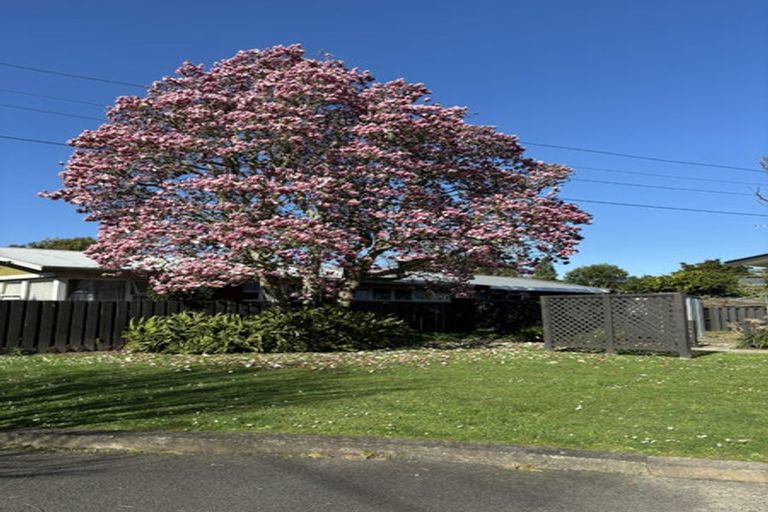 Photo of property in 7a May Street, Hamilton East, Hamilton, 3216