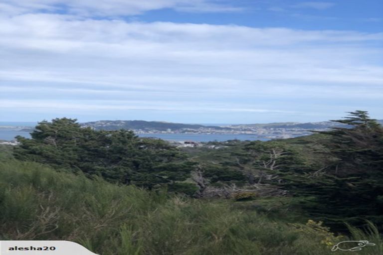 Photo of property in 12 Piper Way, Newlands, Wellington, 6037