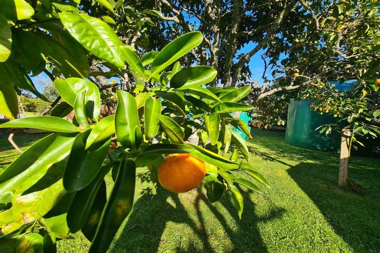 Photo of property in 15 Driving Creek Road, Coromandel, 3506