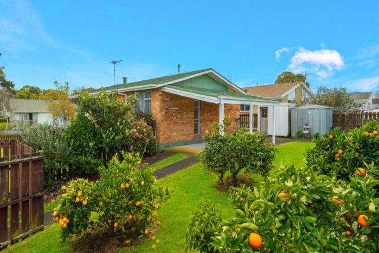 Photo of property in 8 Emerald Place, Chartwell, Hamilton, 3210