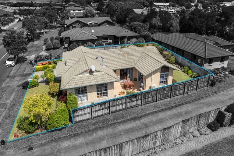 Photo of property in 88 Buscomb Avenue, Henderson, Auckland, 0610